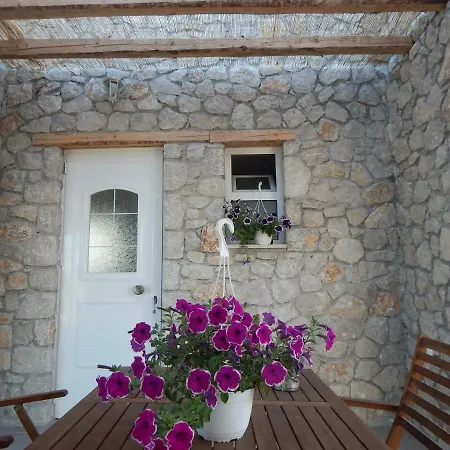Belvita Villa